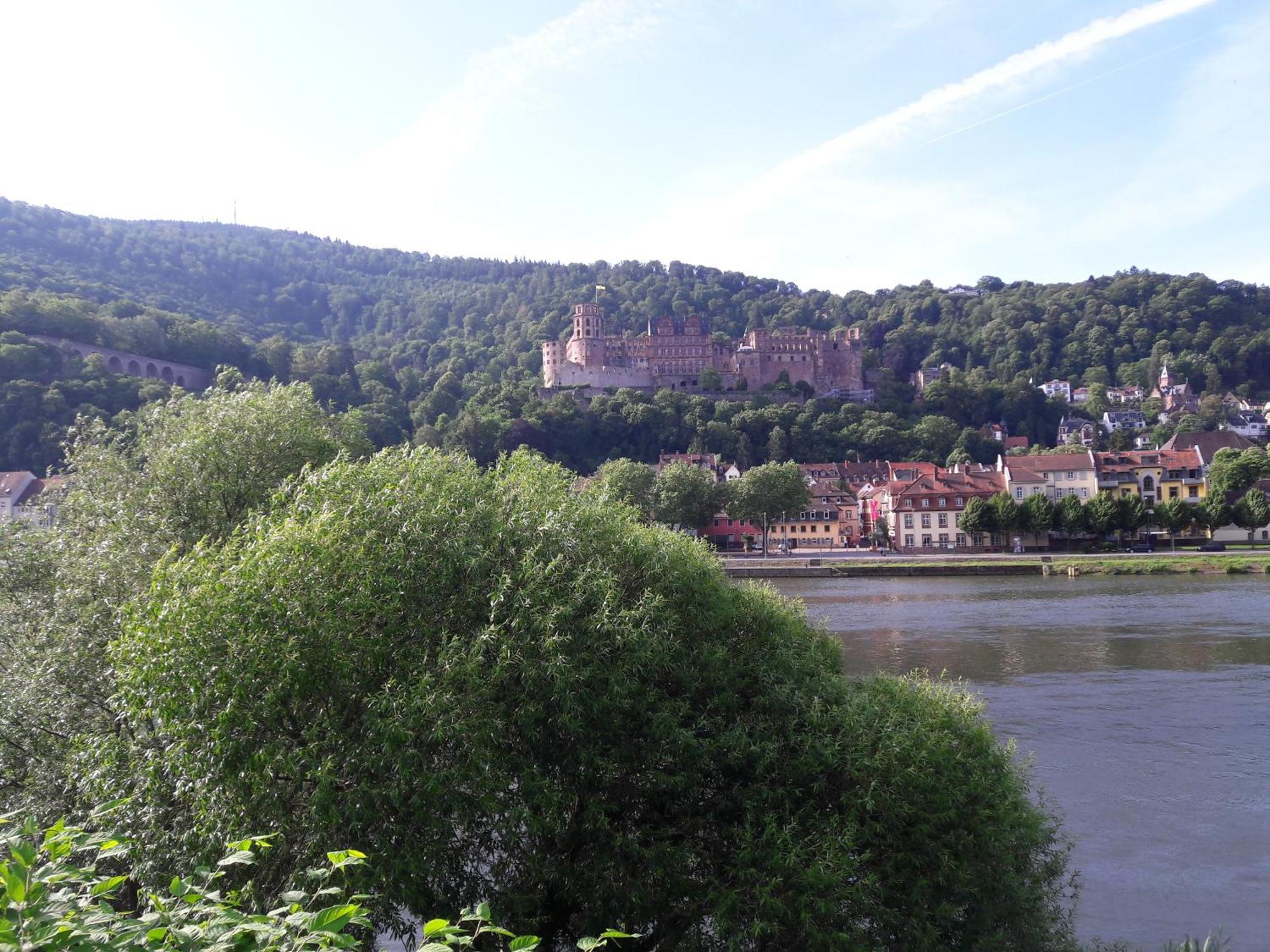 Ferienwohnung Neckarblick Heidelberg Exteriör bild